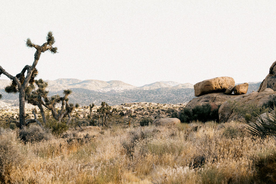 Pioneertown Golf Club Pt. 1 – Devereux