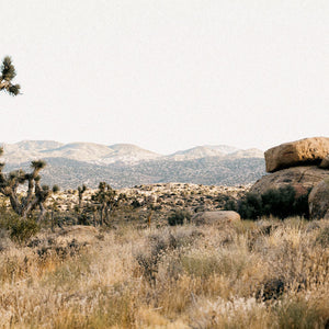 Pioneertown Golf Club